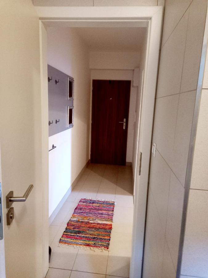 Apartmany Za Sneznikem Dolní Morava 外观 照片