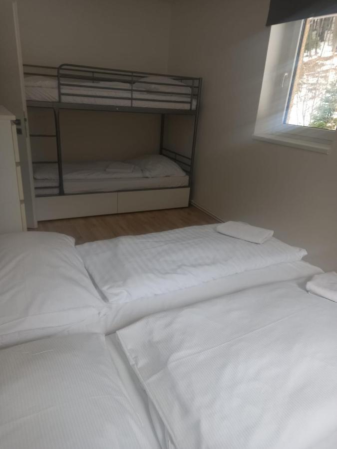 Apartmany Za Sneznikem Dolní Morava 外观 照片