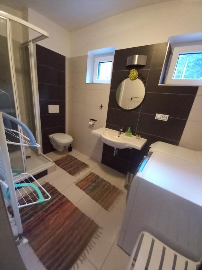 Apartmany Za Sneznikem Dolní Morava 外观 照片
