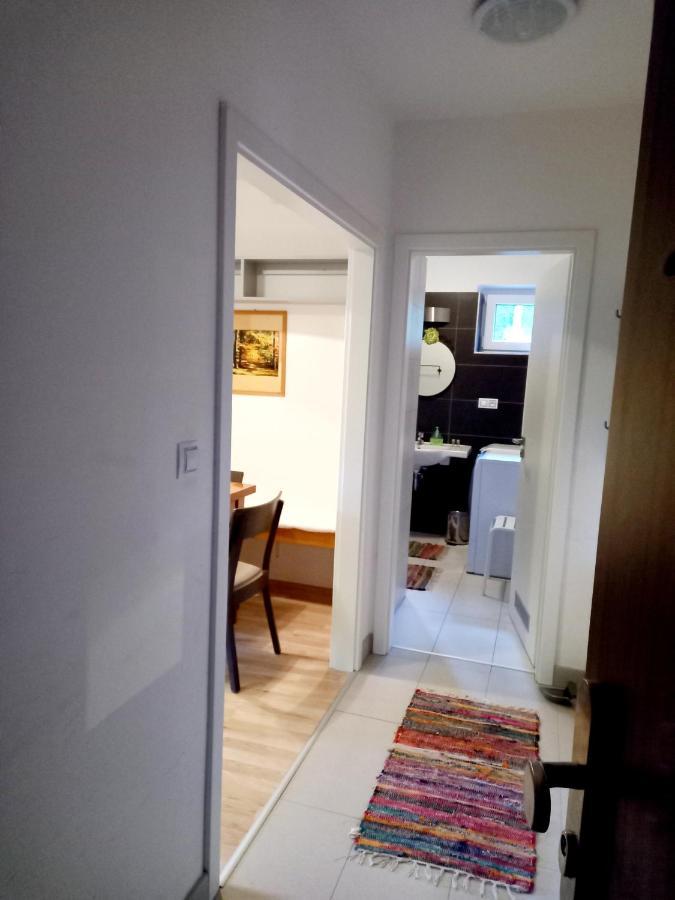 Apartmany Za Sneznikem Dolní Morava 外观 照片